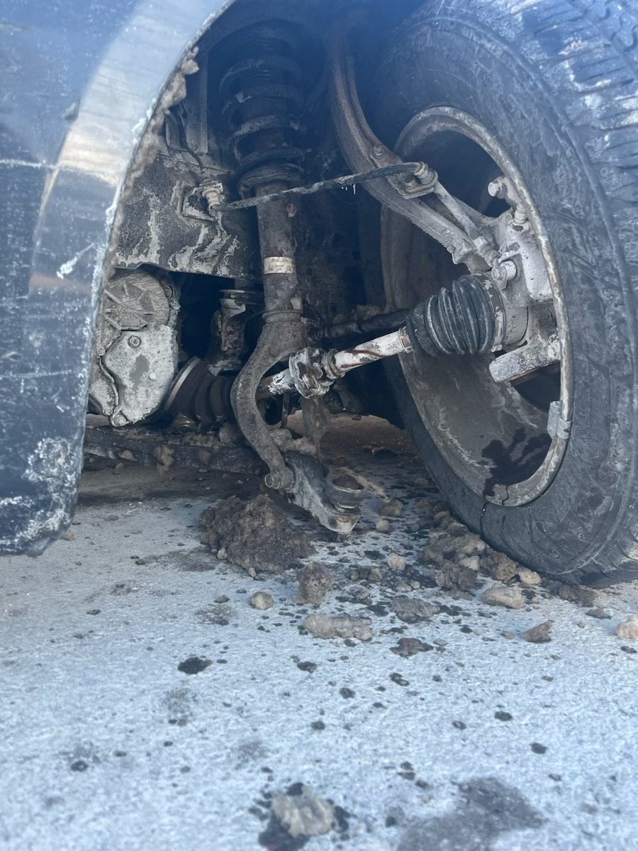 Anthony Rizzi tweet media