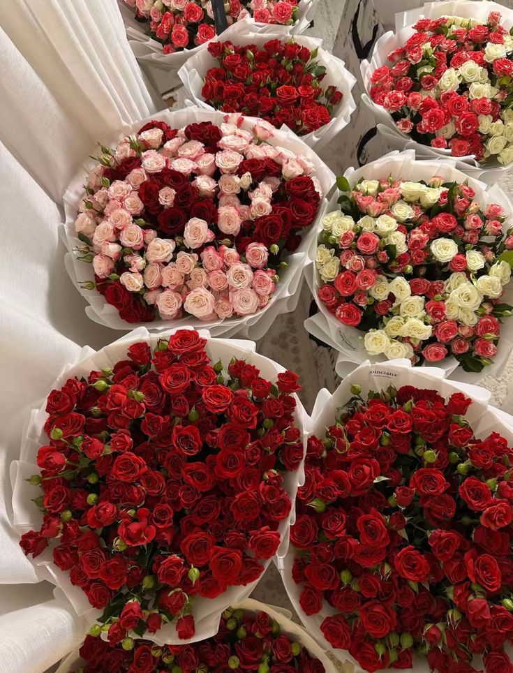 bloomifyyy's tweet image. 