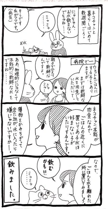 お水を飲まない猫への対処法 