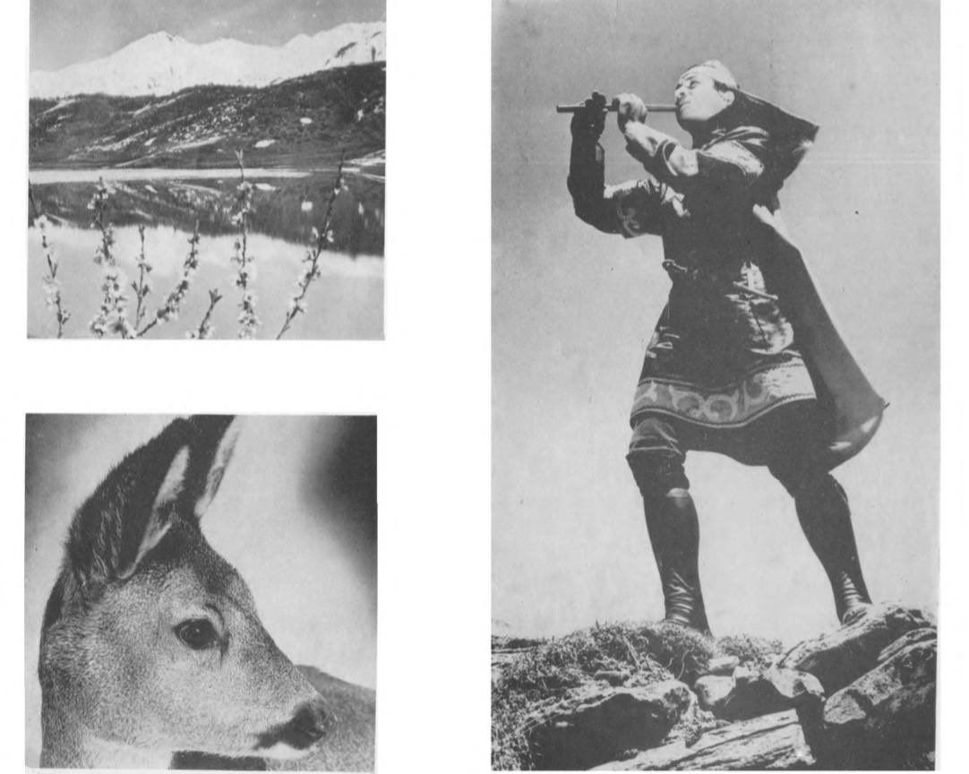 celaxsaty's tweet photo. Just stumbled upon a gem from 1989.
Photos from an old album dedicated to the South Ossetian dance ensemble Simd 🤍 https://t.co/XW8yjWIZEu