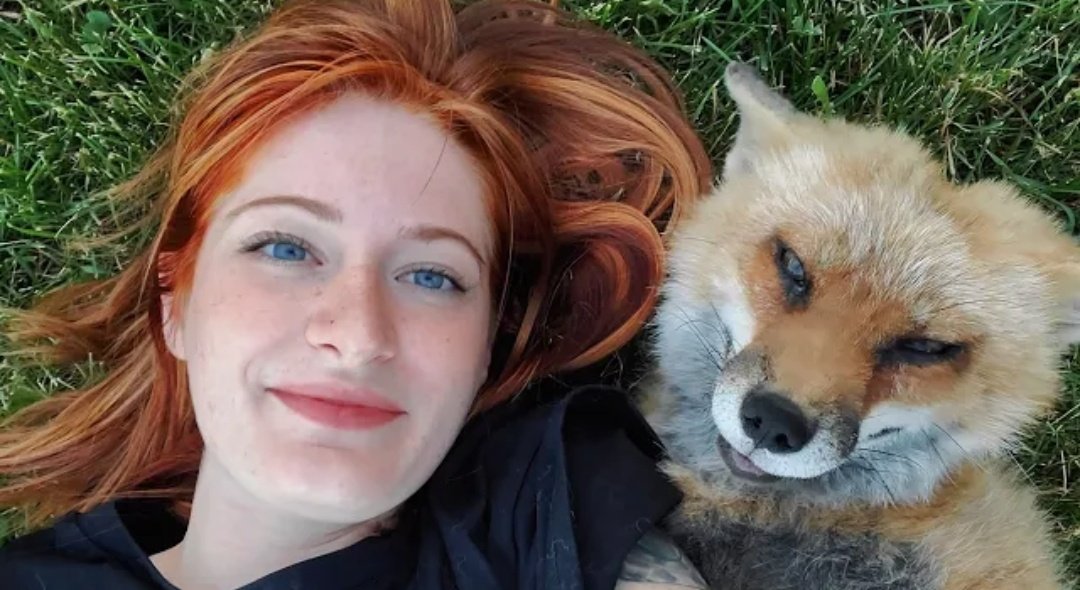 🍁 𝓣𝓱𝓮 𝓕𝓸𝔁 𝓛𝓲𝓯𝓮 🌾🦊 tweet media