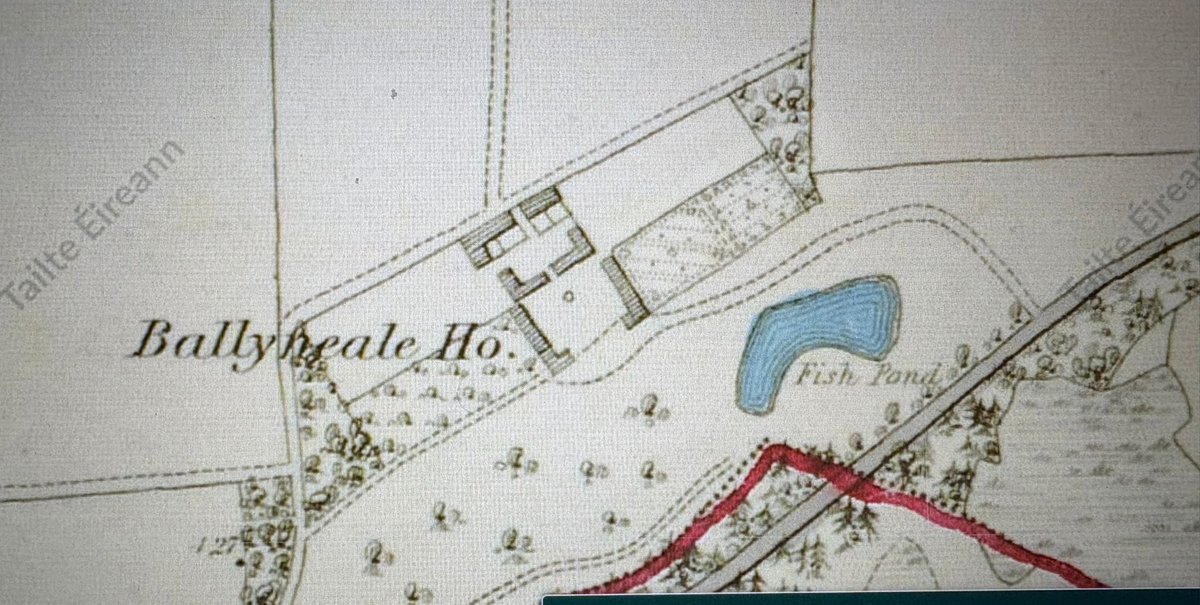 Dr Paul O'Brien tweet media