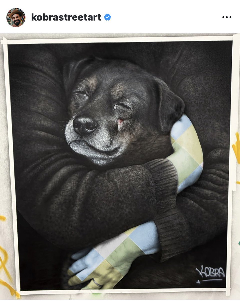 Pedro Sampaio tweet media