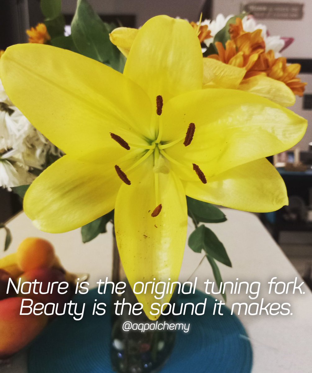 AQP Alchemy tweet media