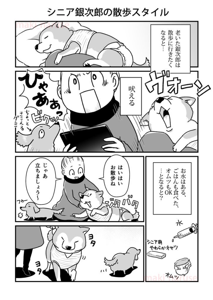 【再掲】「シニア銀次郎の散歩スタイル」(1/2)

私にとってこのスタイルの銀次郎が介護期では一番思い出深いです。体も傷め眠れず辛かったのですが、懐かしく思い出されます。 