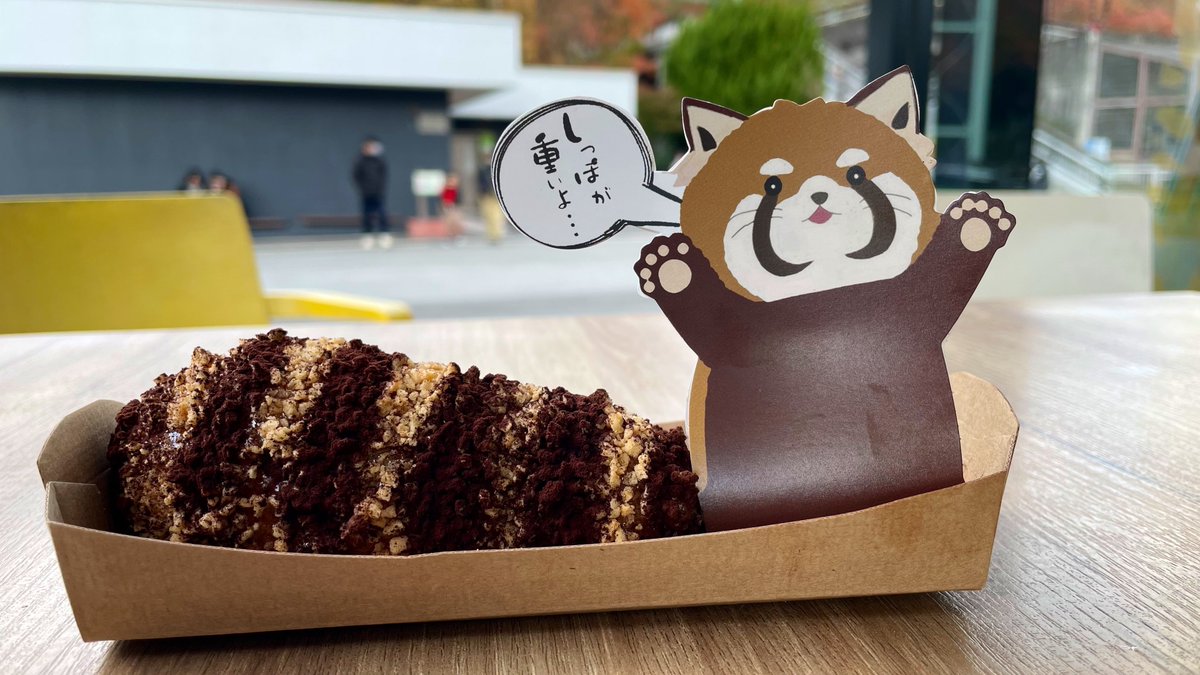 東山動植物園のレッサーパンダドッグは、しましましっぽの可愛い