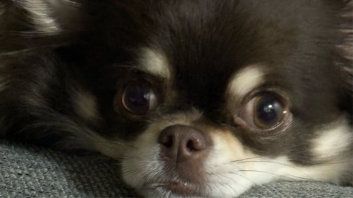 あゆみん (@ayumincom1) / Posts / X