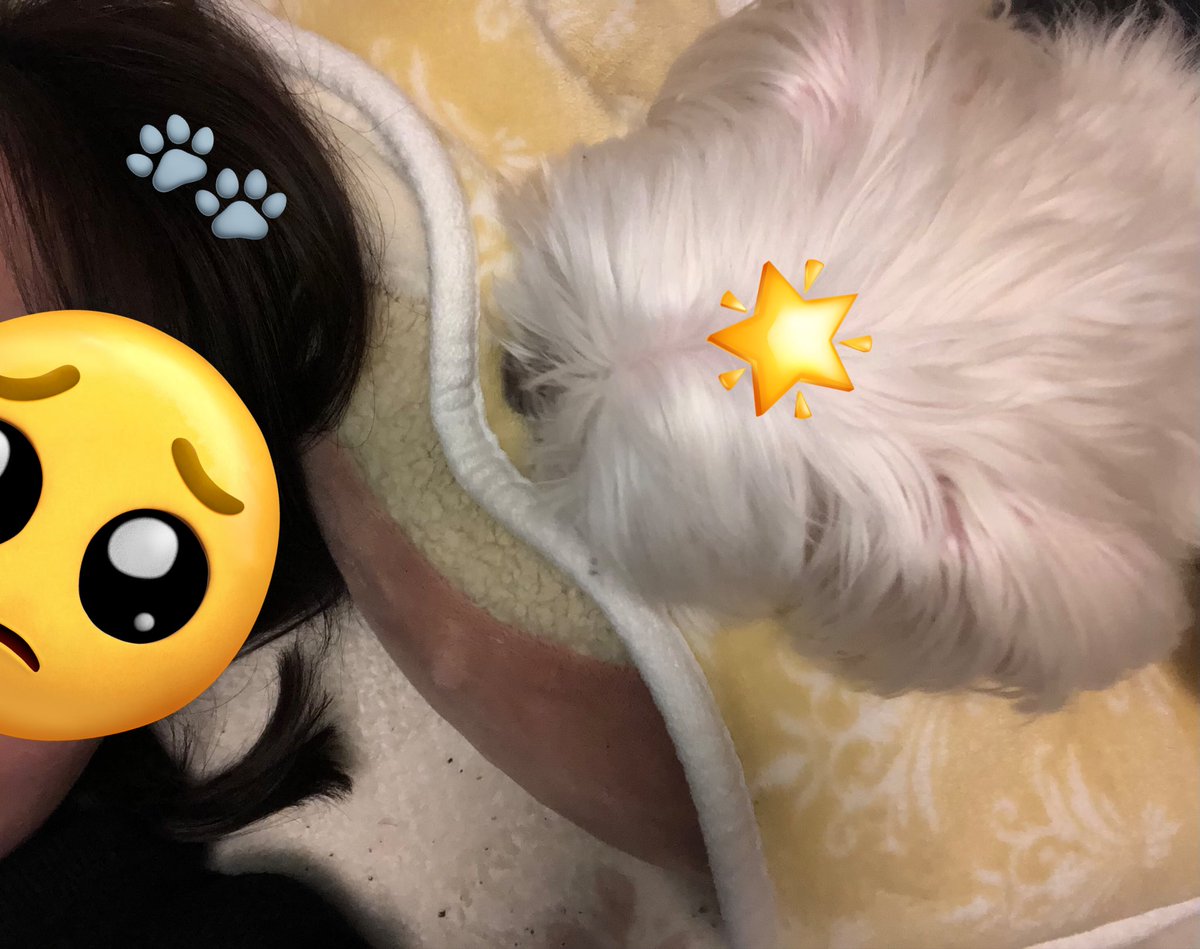 たっぷぅちゃん tweet media