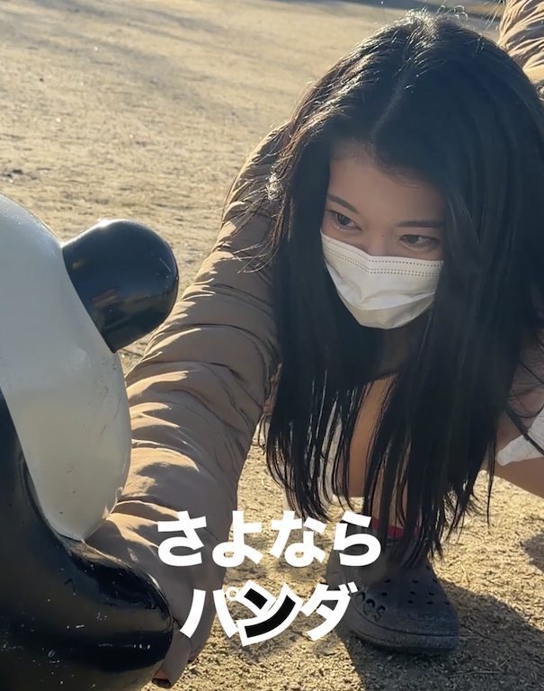 あんずチャンネル（本もの） (@anzuch1120) / Posts / X