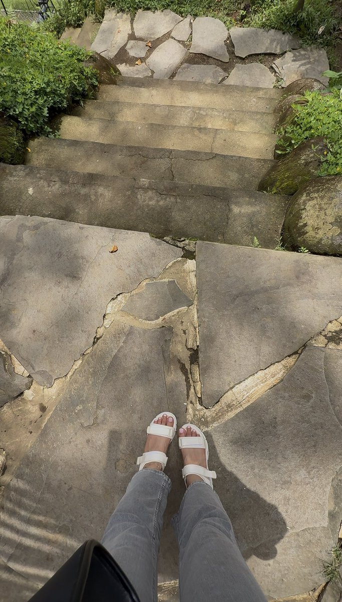venari_09's tweet photo. 📍Ubud https://t.co/tRvqSkQgH5