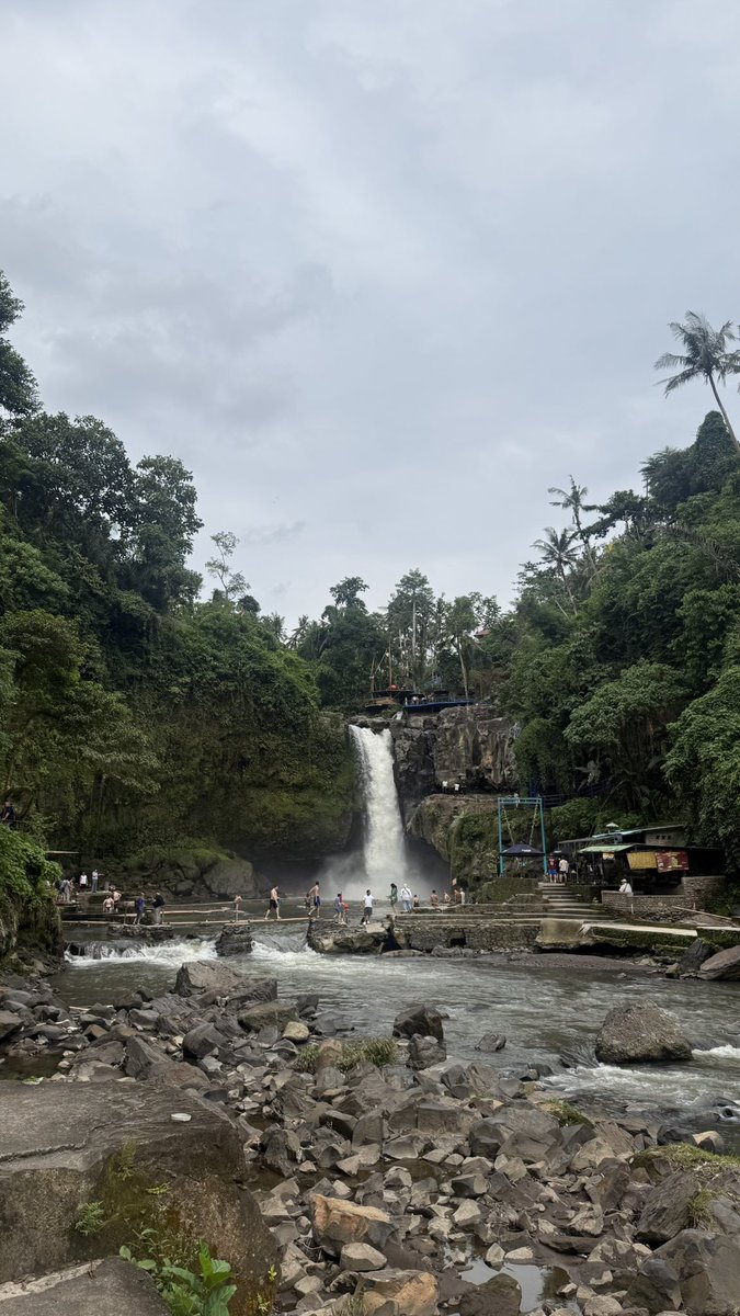 venari_09's tweet photo. 📍Ubud https://t.co/tRvqSkQgH5