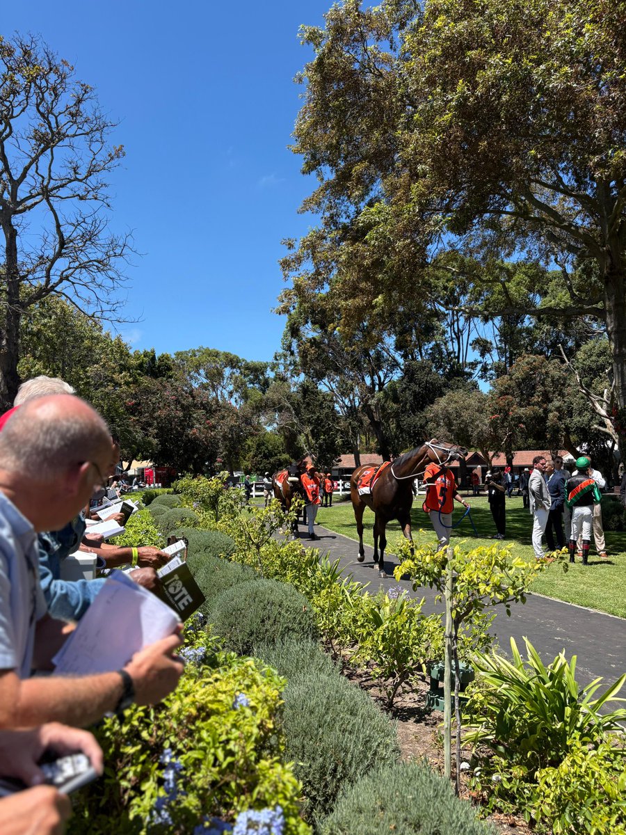 luckyfishza's tweet photo. All set for an exciting day at the WSB Cape Town Met 🍾🏇
Lucky Fish is ready to serve luxury, great vibes, and front-row racing at Cape Racing.
#LuckyFish #WSBCapeTownMet
#RaceDayReady #CapeRacing https://t.co/1OesVBKGwe