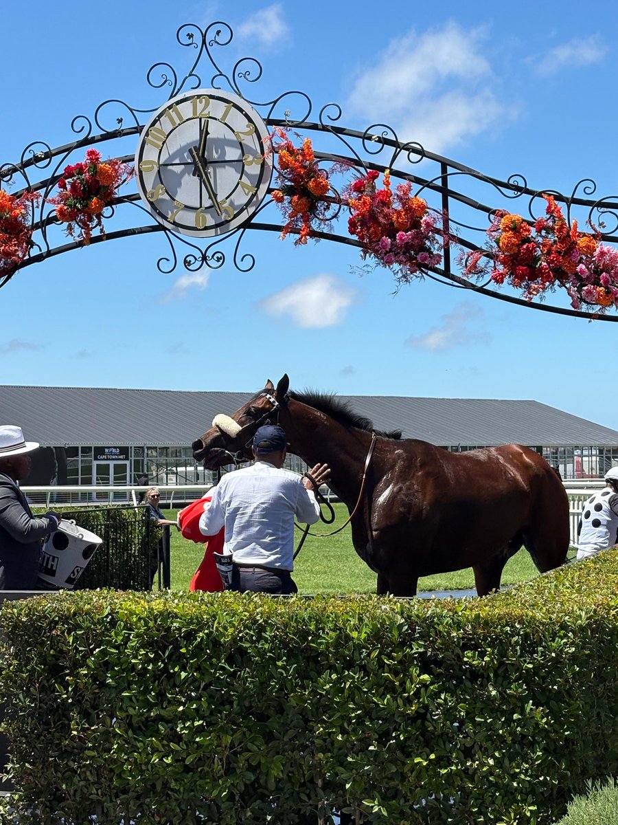 luckyfishza's tweet photo. All set for an exciting day at the WSB Cape Town Met 🍾🏇
Lucky Fish is ready to serve luxury, great vibes, and front-row racing at Cape Racing.
#LuckyFish #WSBCapeTownMet
#RaceDayReady #CapeRacing https://t.co/1OesVBKGwe