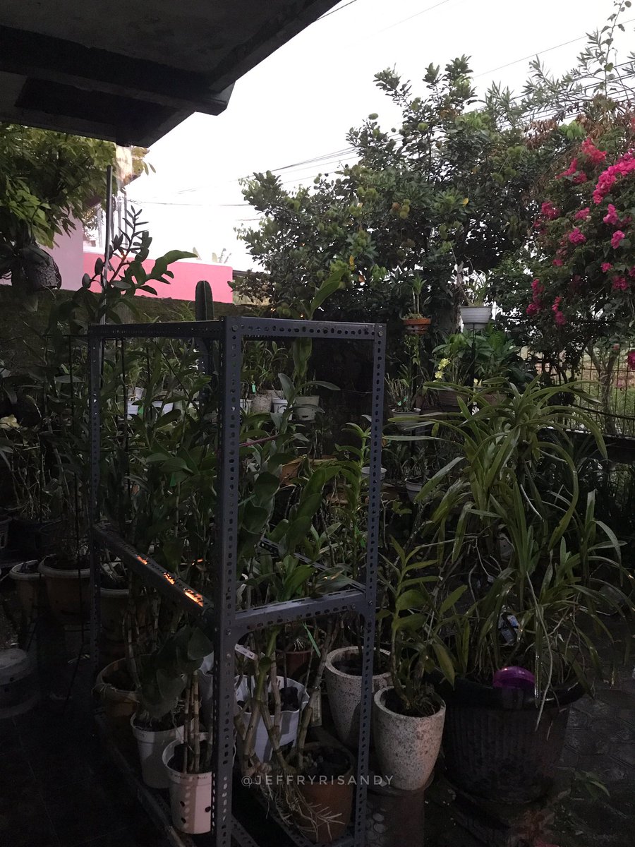 sedang menikmati sore di akhir pekan, berteman hujan di akhir bulan 🥶