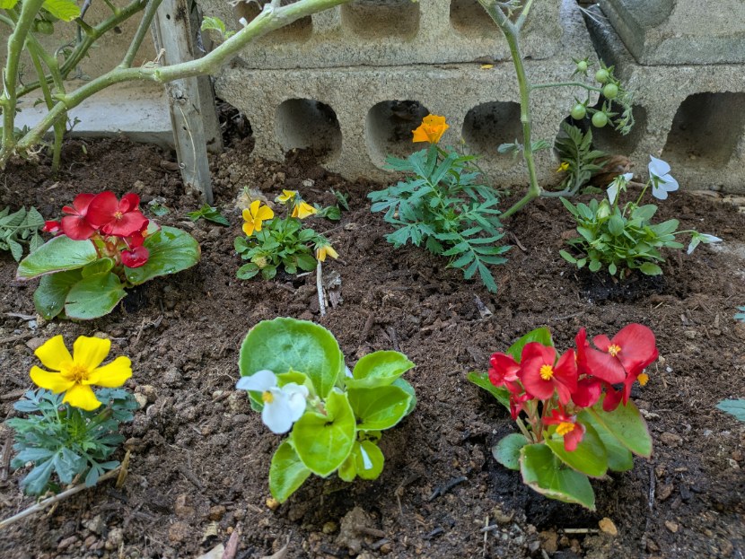 お誕生日おめでとうございます🎉