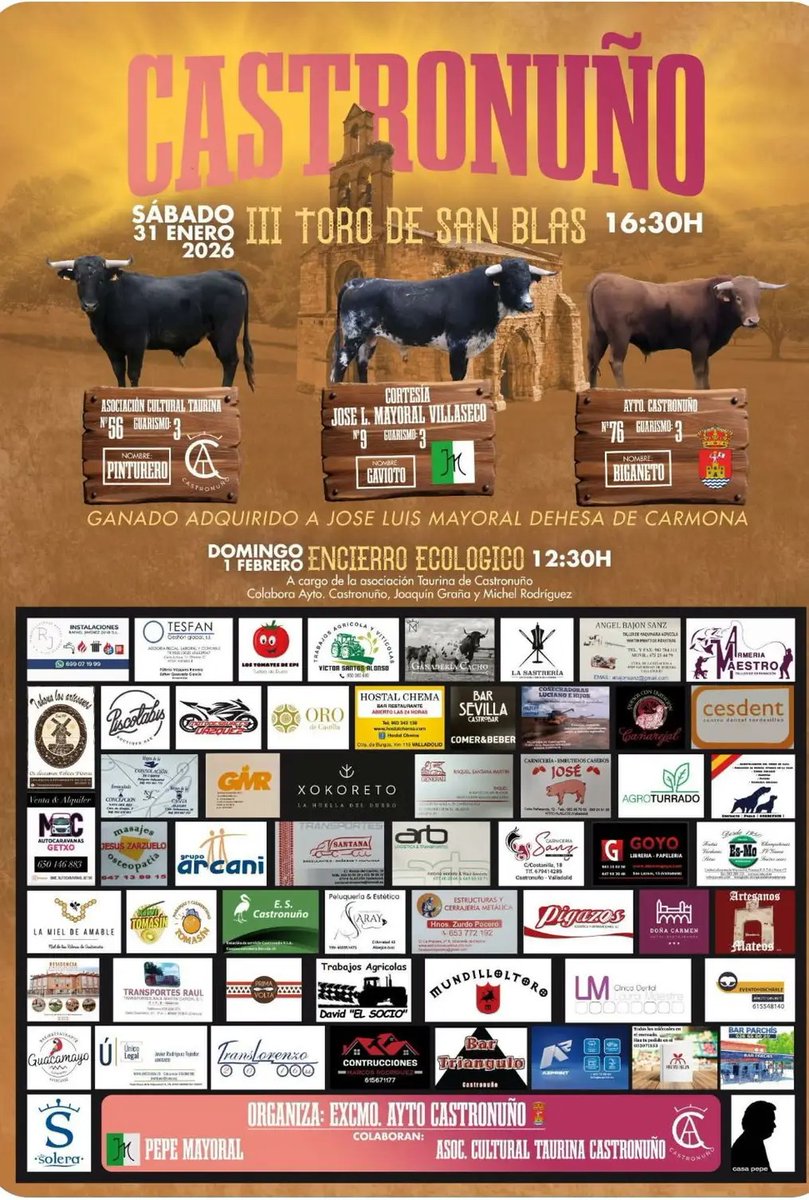 Hoy hay toros en Castronuño. III Toro de San Blas.