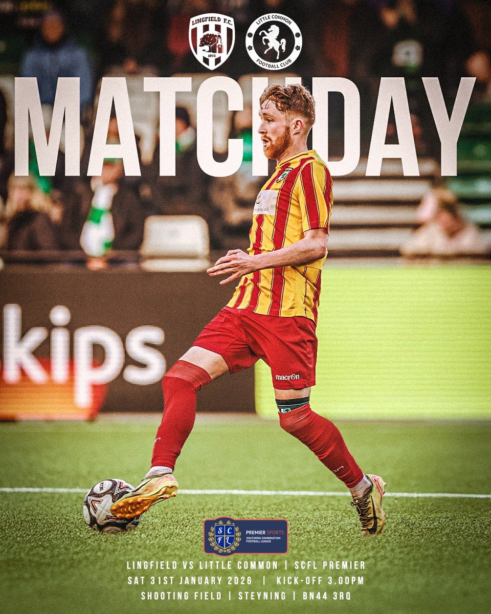 Lingfield FC ⚽️ tweet media