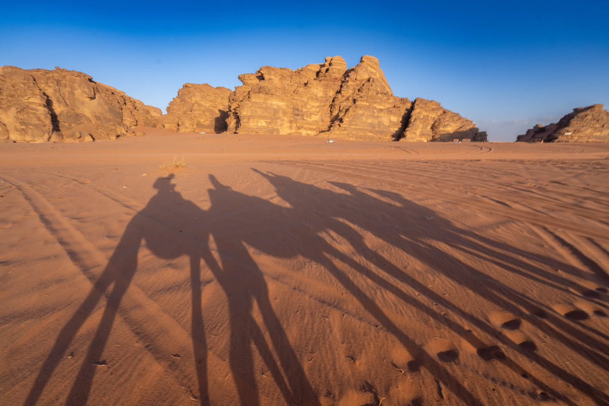 Visit Jordan tweet media