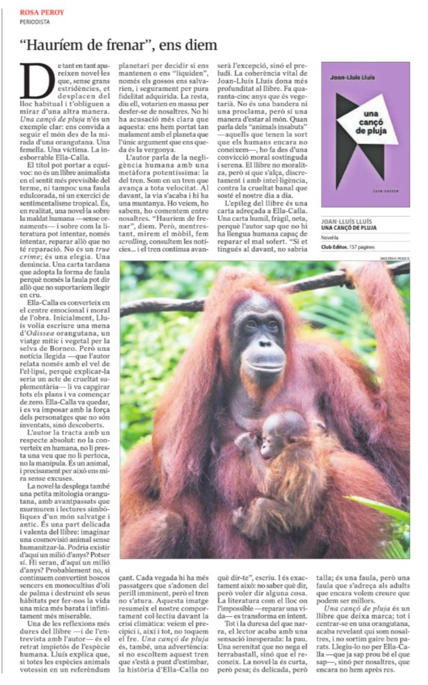 La Peroy tweet media