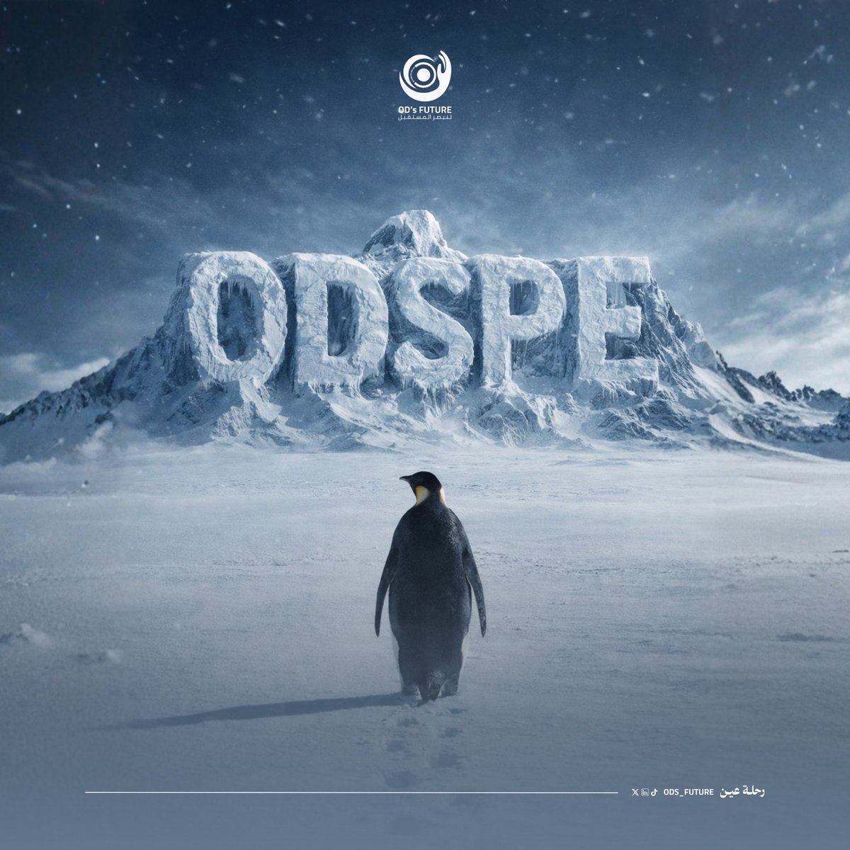 لأن طموحاته أكبر، البطريق اختار وجهته الصحيحة ✅
#رحلة_عين