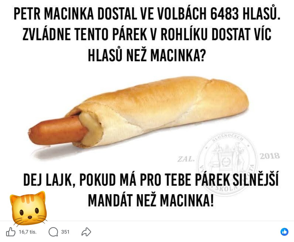 Hele, micina projel další volby 🤣