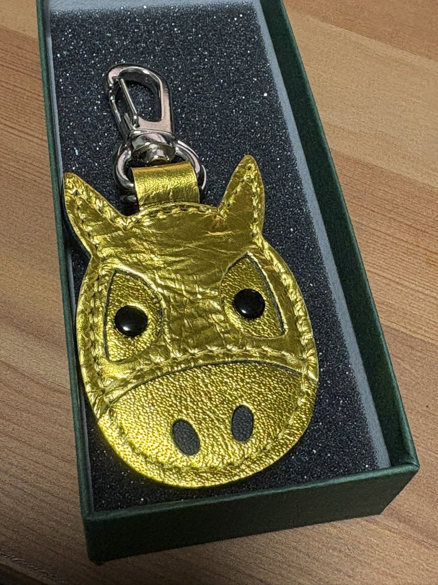 わーい！ソメスサドルの馬メンコキーホルダーゴールド🐴✨️✨️ これ