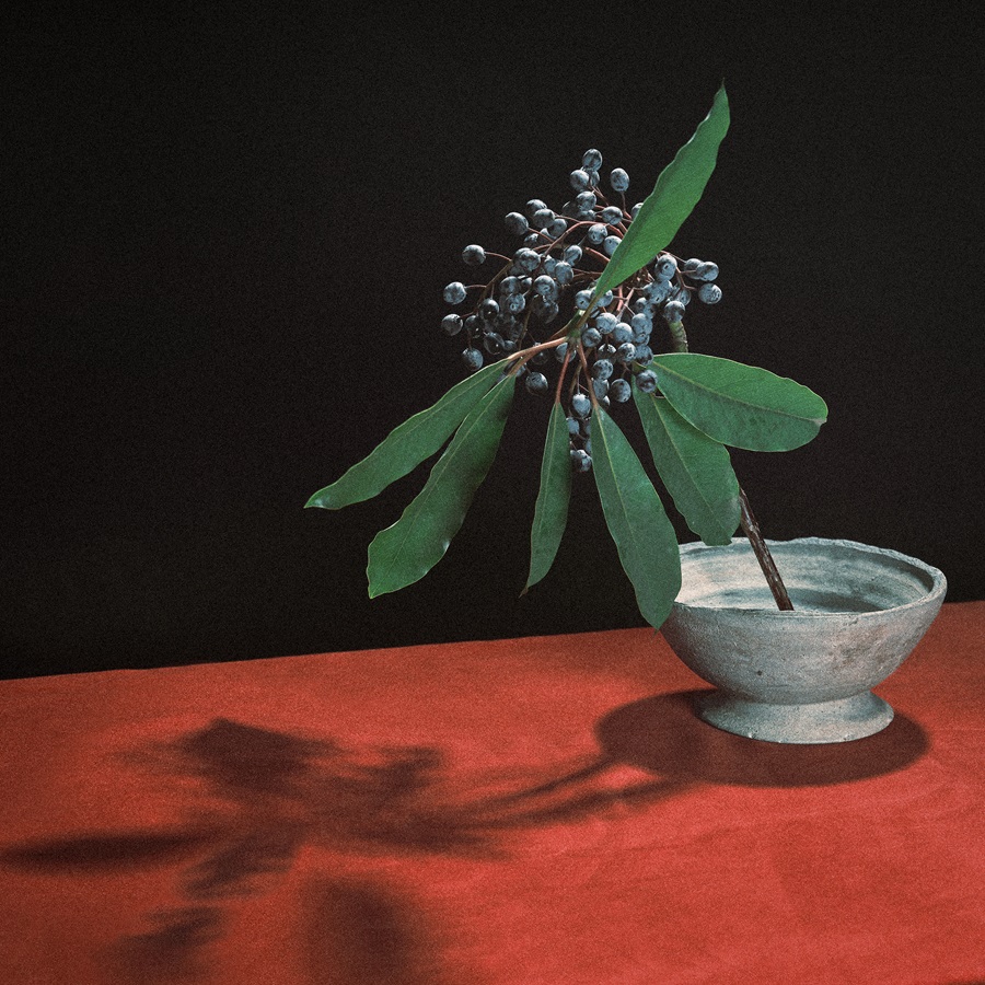 indigo la End、川谷絵音設立の新レーベル