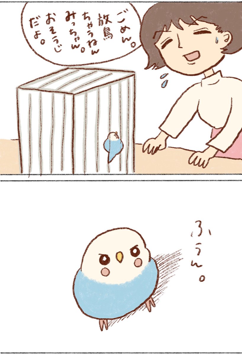 お利口さんだな☺️

#インコ 