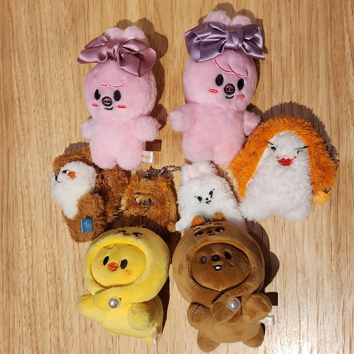 STAY_Y_C's tweet photo. チャンビン､うさ耳ポーズやってくれたのめちゃくちゃ可愛かった🐖🐇🩷
会ってくれた友達達もありがとう💕
良き1日でした🙌🏻✨ https://t.co/dZGlLUeVFB