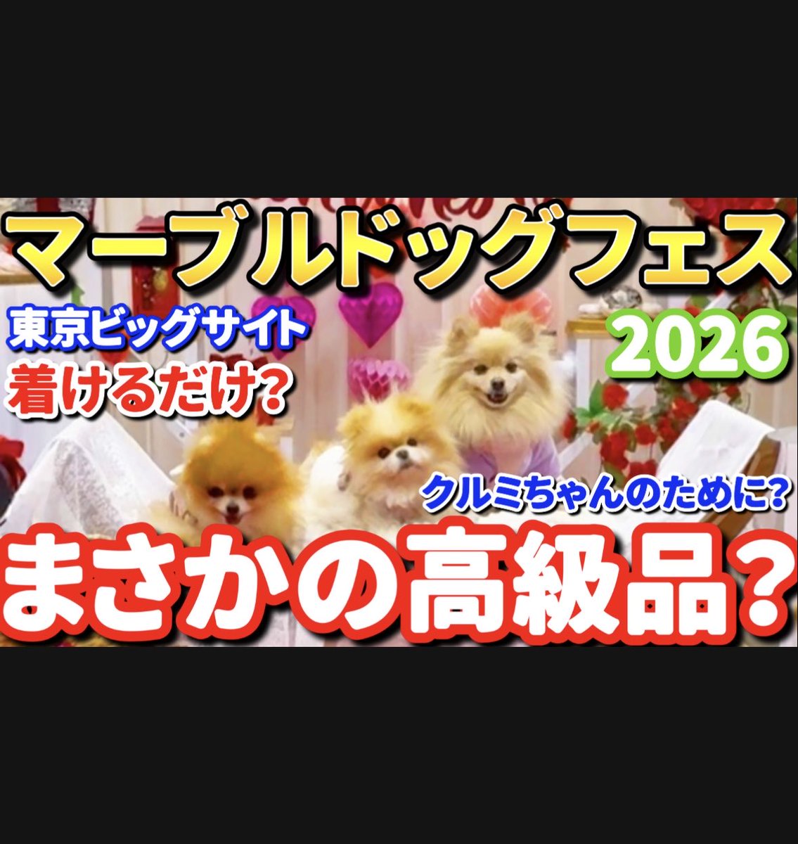 3pomeranian.leo.house (@SAN51482129) / Posts / X