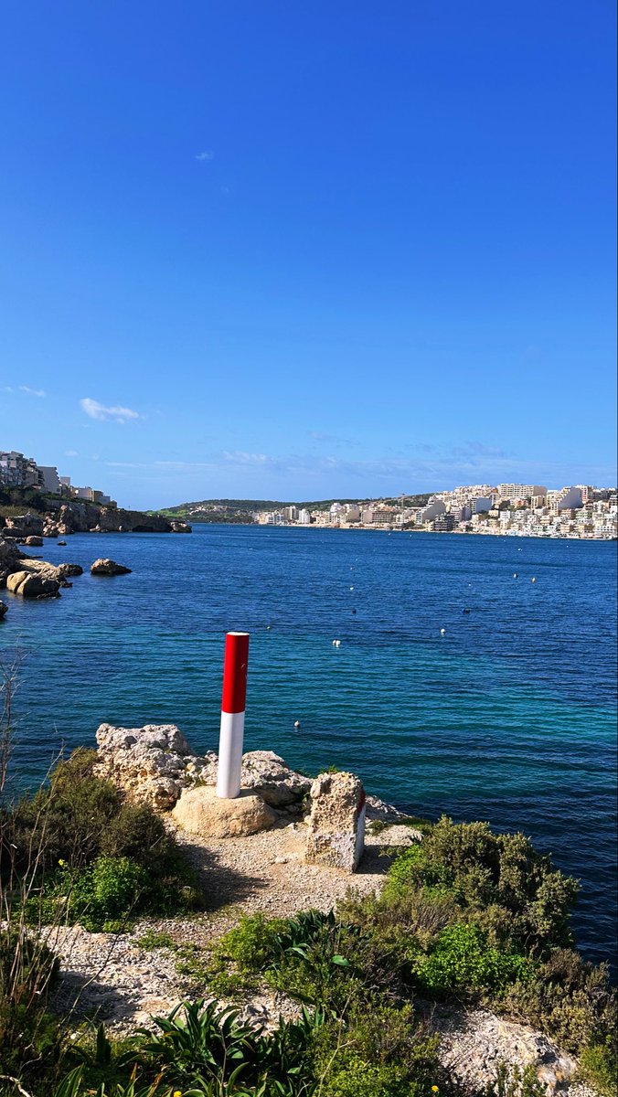 Albert Varacallo III tweet media