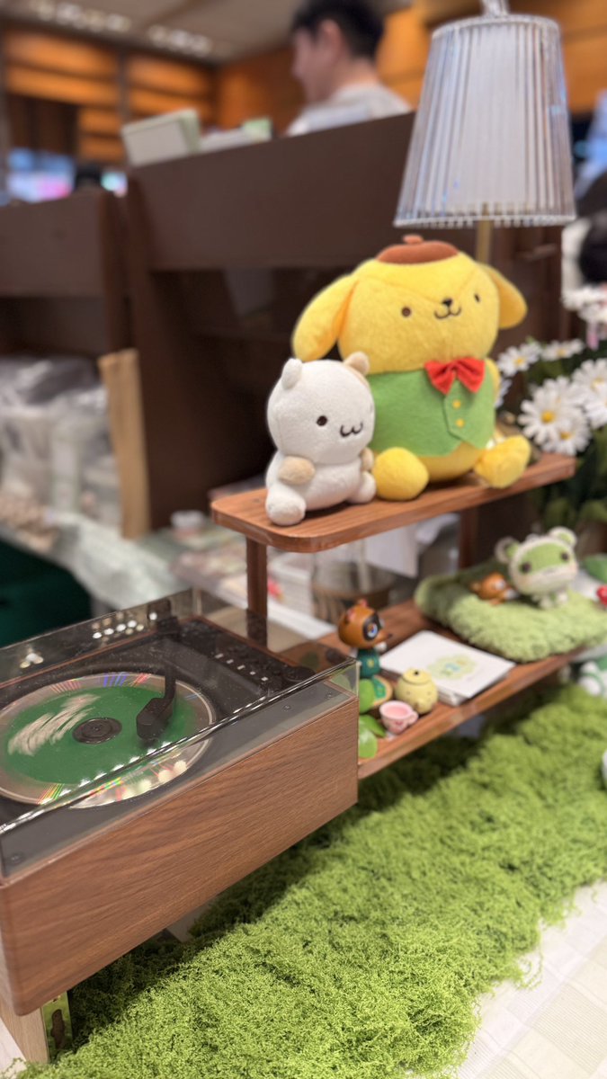 감쟈쪙 tweet media