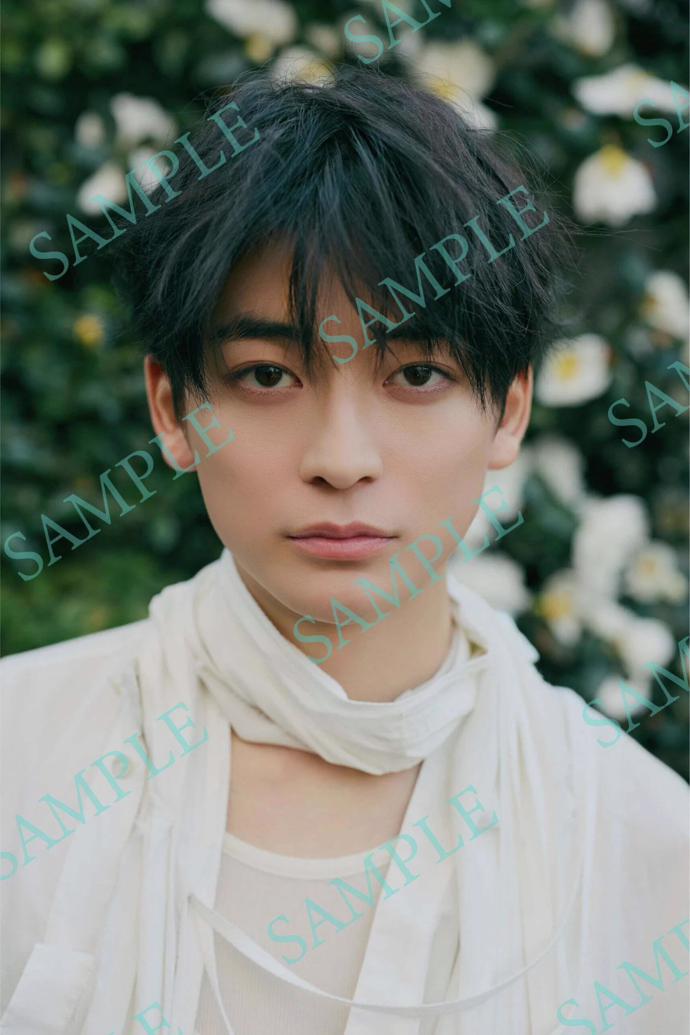 カドスト on X: 