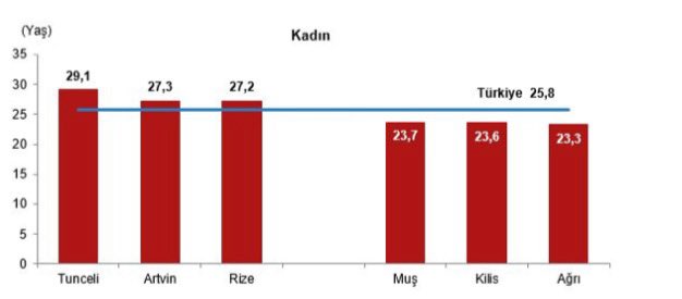 beyza dogan ironisi tweet media