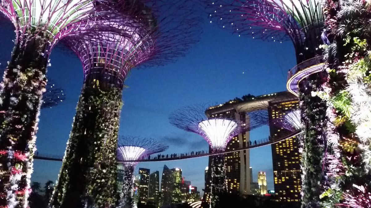 はせ 世界一周 tweet media