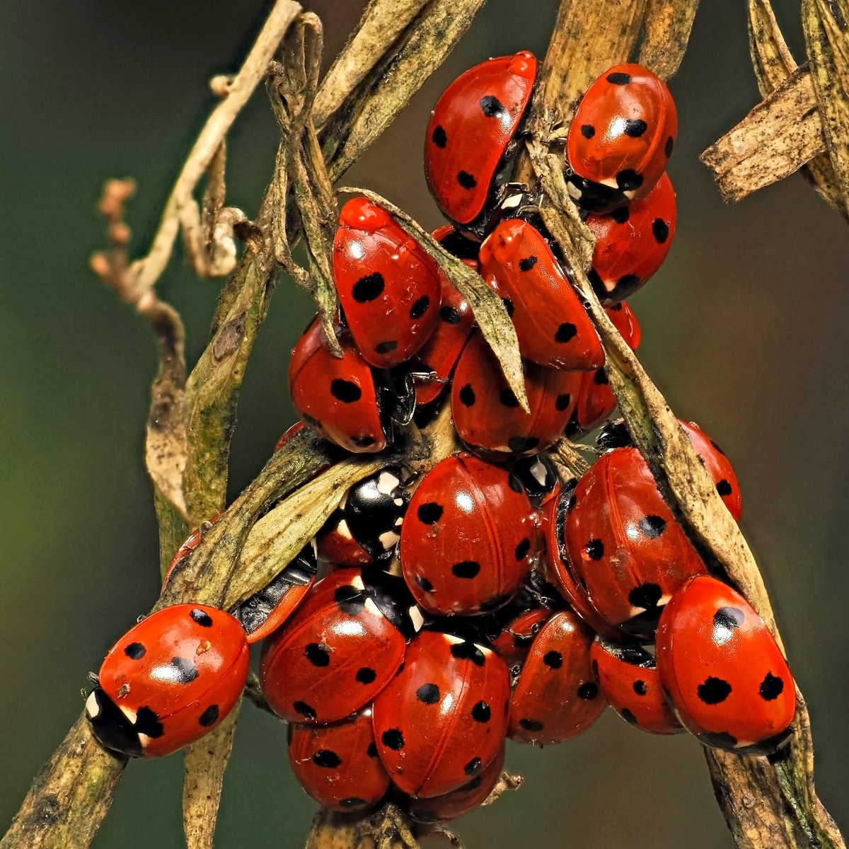 Terry&JudyWood tweet media