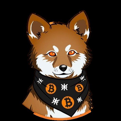 Lobo Bitcoin tweet media