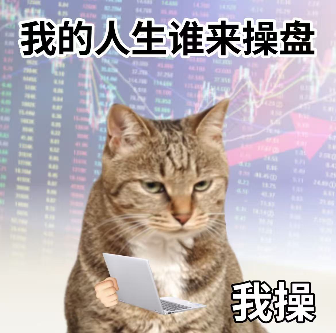 Lipa 🍡（专注投研过冬版 tweet media