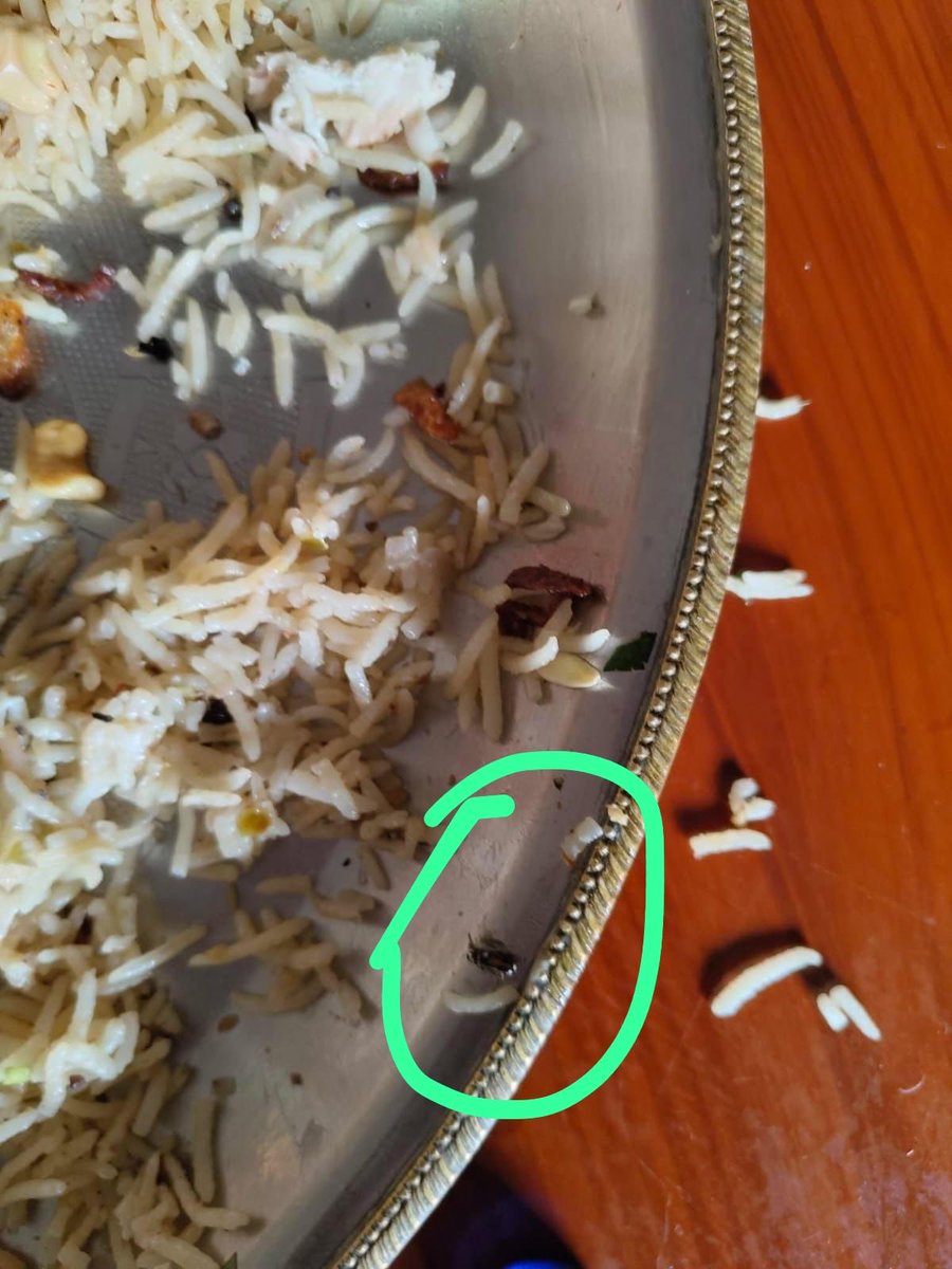 shivashiv95's tweet photo. Today my brother and friends went to eat mandi Karkhana grill9 while they started eating they said there was cockroach in food  and when they ask about it to the manager they are not respond properly and my is suffering from stomach pain after coming home @AFCGHMC https://t.co/tDjUdB3OaD