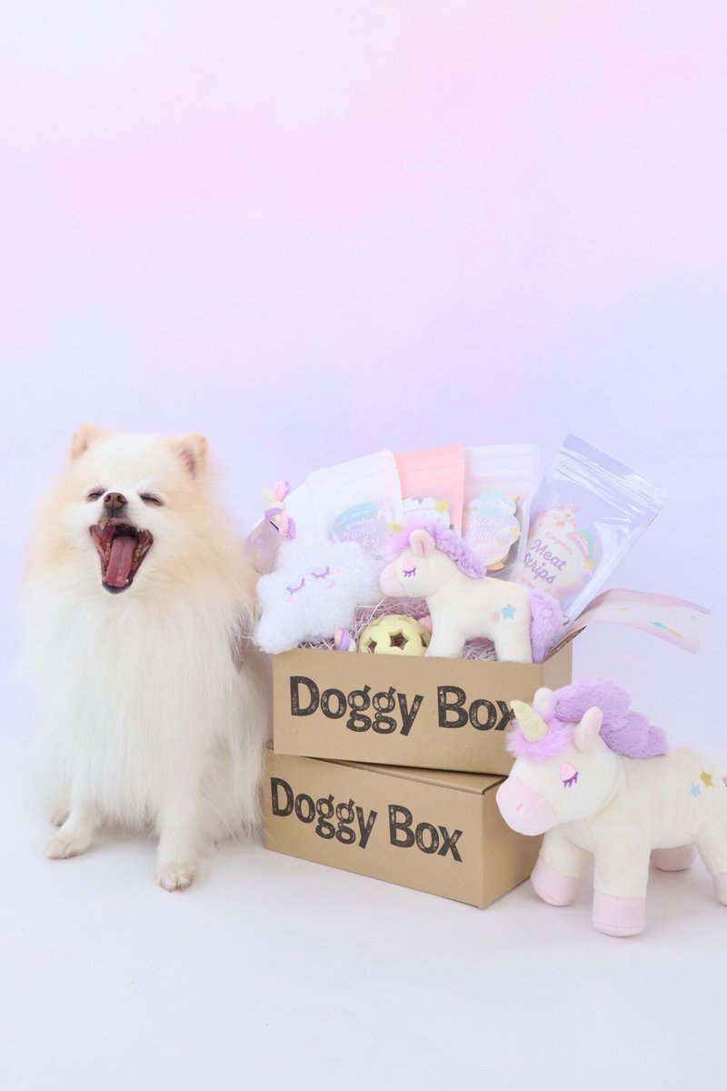 Doggy Box(ドギーボックス) (@doggybox_jp) / Posts / X
