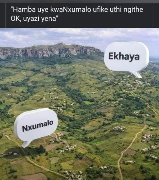 PhutiSemenya14's tweet photo. https://t.co/hpZugjmc1D