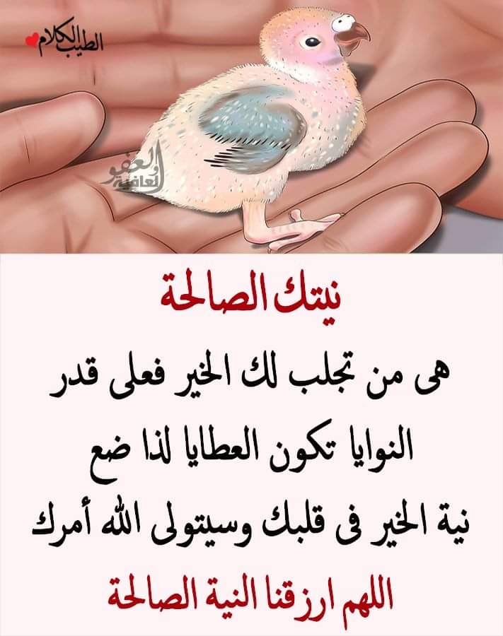 DA1234N's tweet image. 