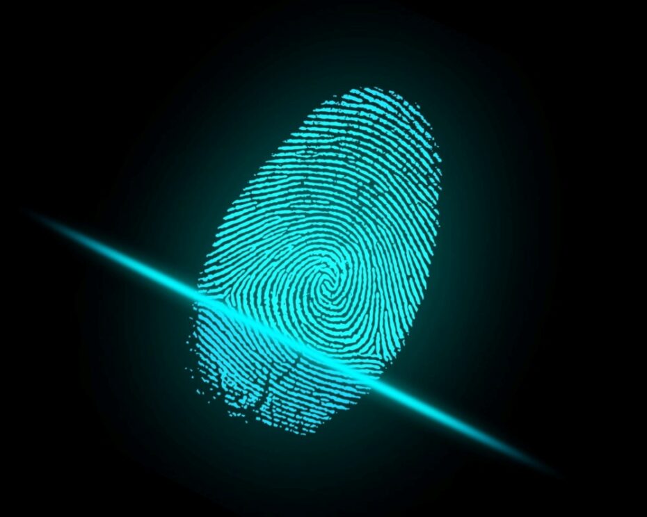 TyN Magazine tweet media