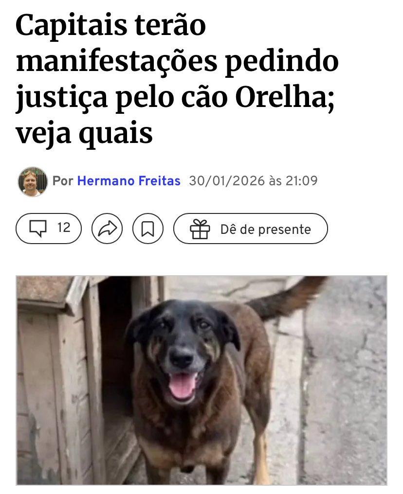 enf_intensiva's tweet image. Pelo Orelha, pelo Abacate, pelo Negão, pelo cãozinho que foi enterrado vivo, pelo cão agredido com um facão em Sergipe, pelo caramelo que quase foi afogado, pela Pretinha!

Lutem pela FEDERALIZAÇÃO DO CASO ORELHA!

Uma investigação ampla e profunda precisa ser realizada!