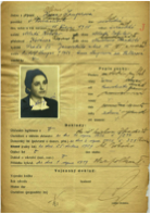 The young Jewish woman Hana Becková, born in 1918 in Prague, arrived at Auschwitz in January 1943 on the Cr 3 transport from Terezin, where she was imprisoned in 1941. 

Hana did not survive the “Selektion”.

#AuschwitzExhibition #NotLongAgoNotFarAway