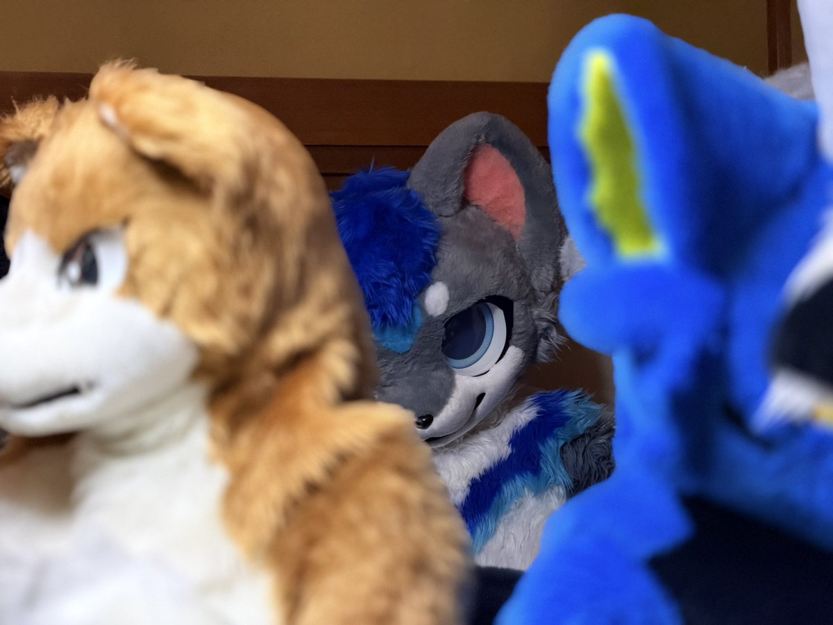 早速購入したらスタンプと一致する写真見つけて…😳