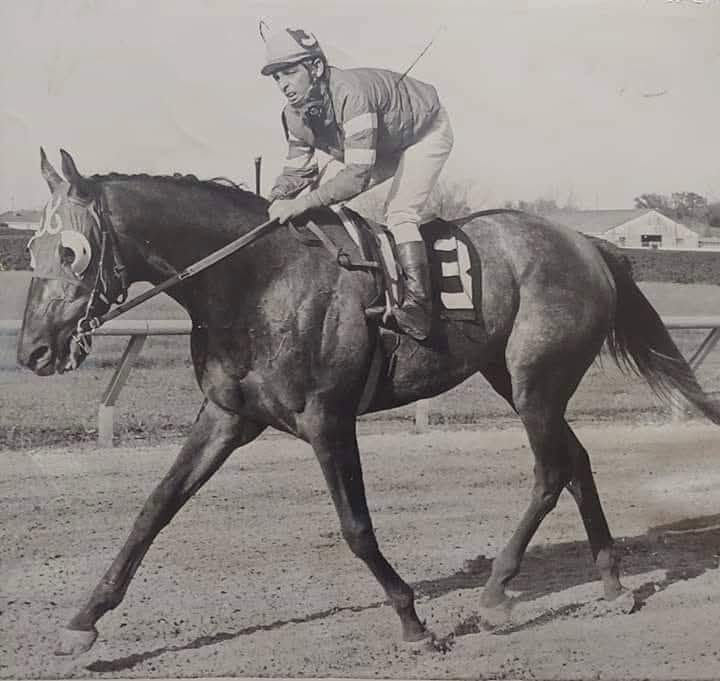 HORSERACING1002's tweet image. NAVAJO (USA) 1970
(GREY DAWN II - DOUBLENE BY DOUBLE JAY)#Navajo
B/ O Stevenson Stamp(In) Apr 26, 1970
T/ James O'Keefer
48-22-9-5---$351,982 
A.B. Letelier Memorial H, Louisville H, Ben Ali H G3, William DuPont Jr G2, Churchill Downs , Essex H, Sugar Bowl H, Hot Springs H,