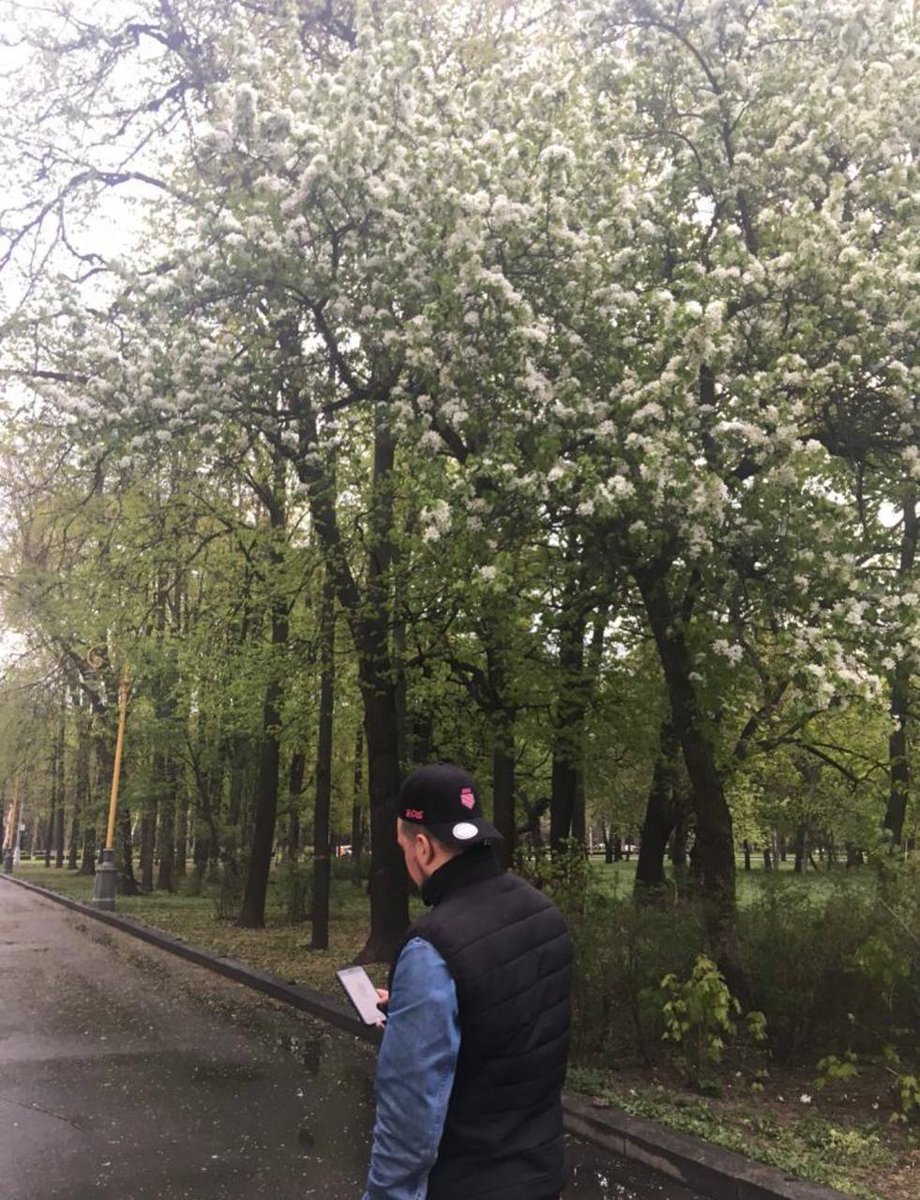 fgenstart's tweet image. gm to everyone who said “just one more trade”