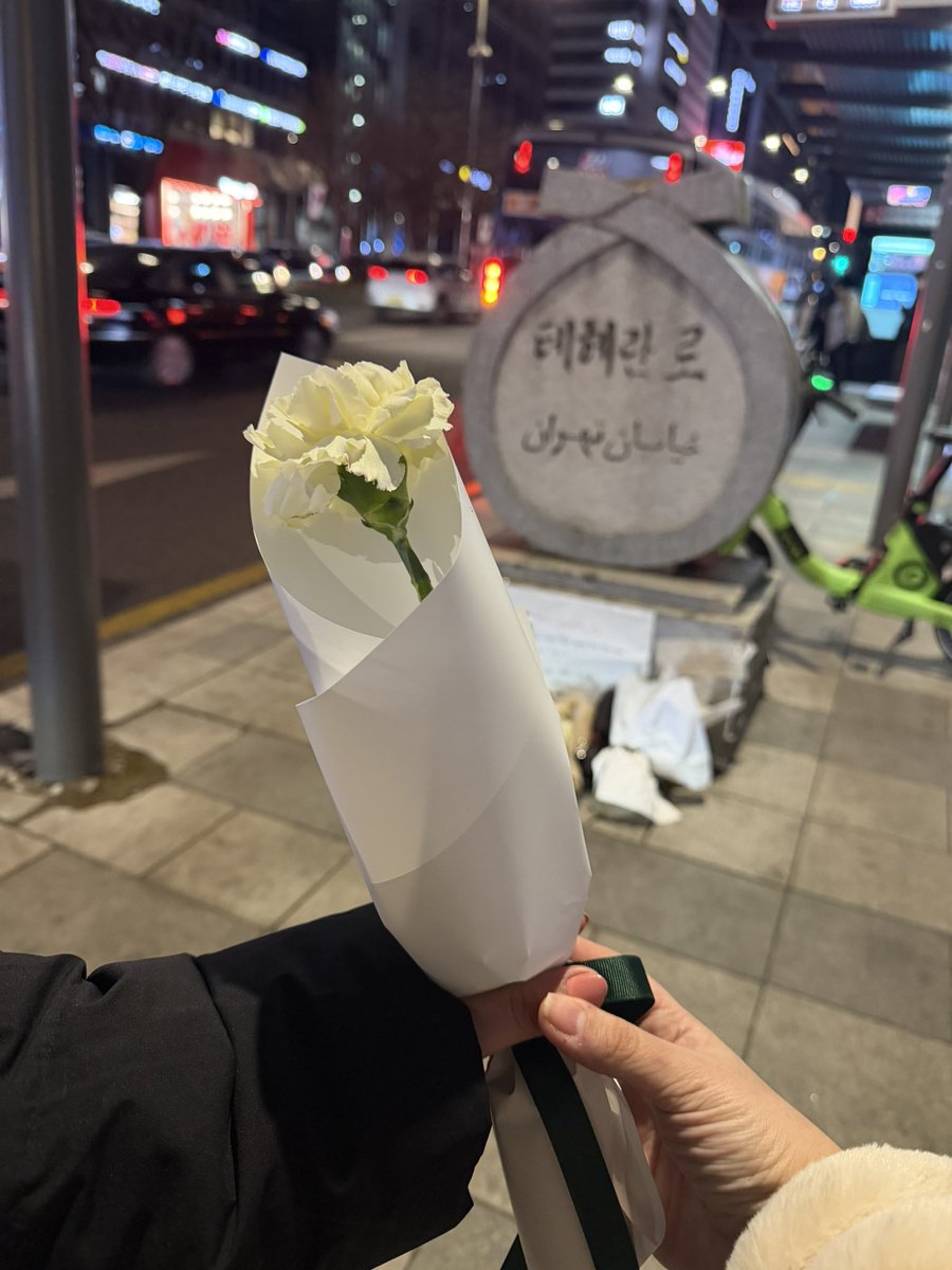 Went to Tehran street in Seoul with <a href="/arii_arts/">ari⁷👩🏻‍🎨💜 is seeing BTS</a> 
In memory of all 30,000 Iranian lives taken by IRGC. We will be your voices until the day our homeland is free. 
#IranRevolution2026 
#IranMassacre 
#FreeIran