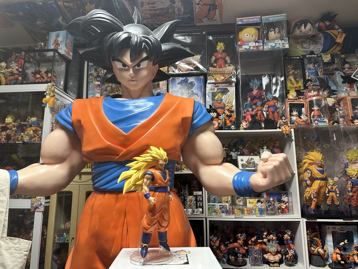 銭盗民族 ひんさん (@tatuani101011) / Posts / X